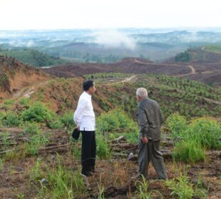 Lokasi Ibu Kota Negara Baru di Kalimantan Timur (Foto: Muchlis Jr)