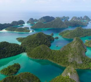 Save Raja Ampat