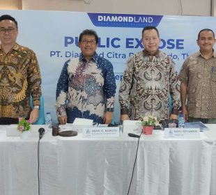 public expose diamondland