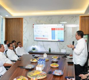 btn danantara